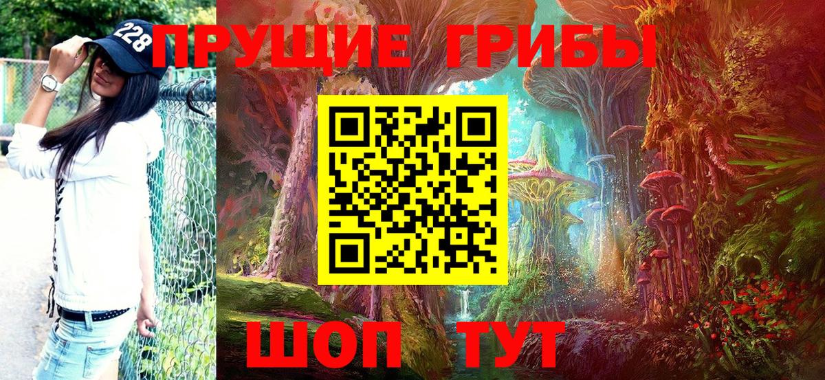 Псилоцибиновые грибы GOLDEN TEACHER Хасавюрт